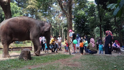 Selama liburan panjang, 6000 Orang Kunjungi Kebun Binatang Bandung 