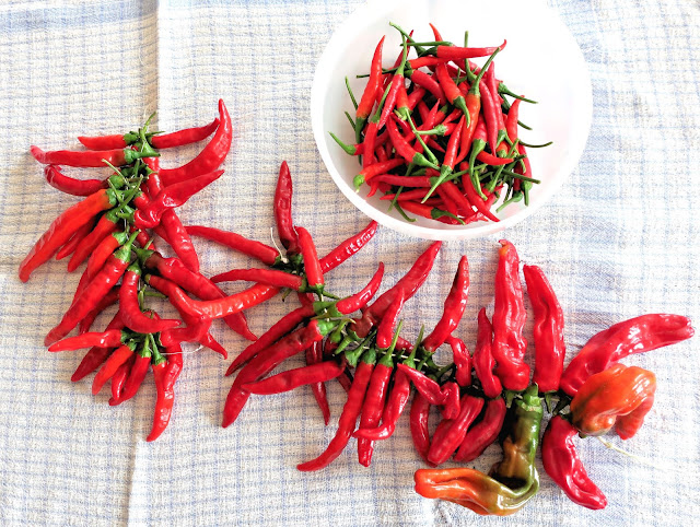 piments