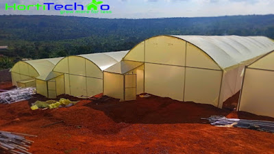 Metallic greenhouse in kenya