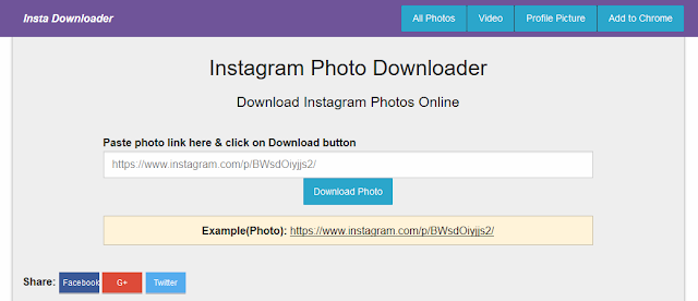 insta-downloader.net