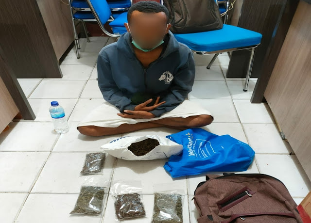 Tim Opsnal Narkoba Polresta Jayapura Tangkap Pelaku Penyimpan Ganja di Abepura.lelemuku.com.jpg