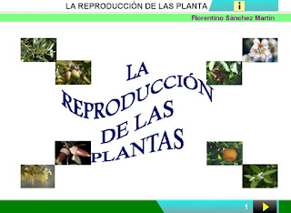  Reproducción de las plantas