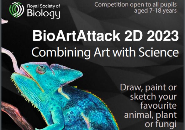 BioArtAttack (2D) 2023 competition