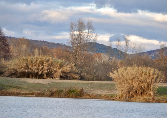 Plan d'eau Massillargues-attuech