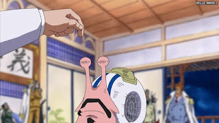 ワンピースアニメ 女ヶ島編 417話 電伝虫 | ONE PIECE Episode 417