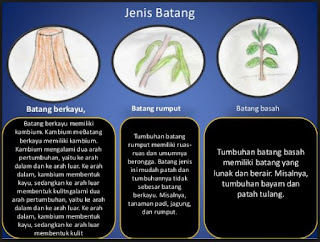 http://kumpulanpembelajaransdsmp.blogspot.co.id/