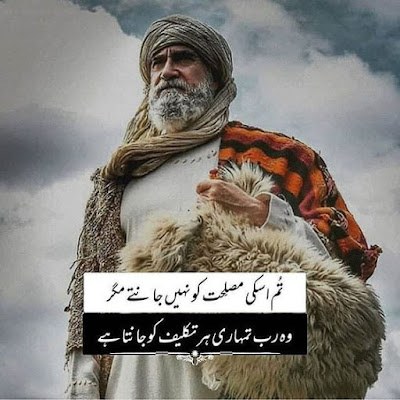 Ibn Arabi Quotes Ertugrul in Urdu