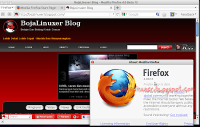 firefox 4 beta 12