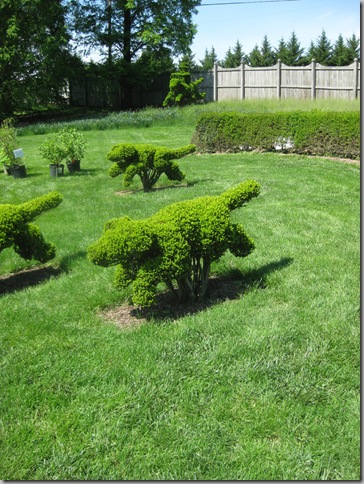 ladew garden days 015