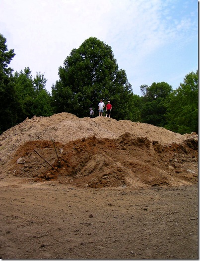 king of the hill