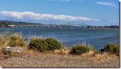 DSCN0417-001