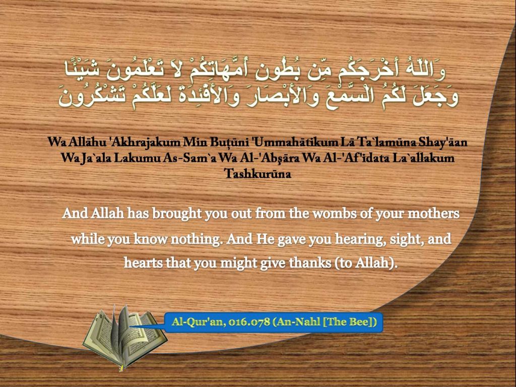 Al-Quran, 016.078 (An-Nahl [The Bee] )