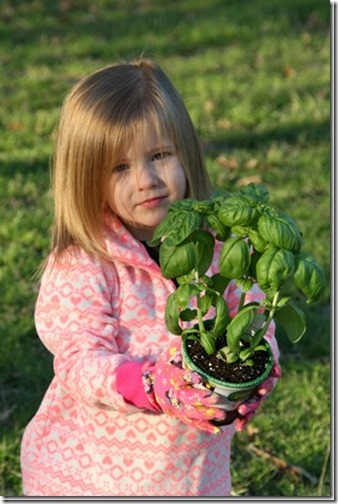 IMG_6730-2-533x800_thumb1