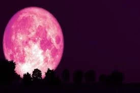 গোলাপি চাঁদ ছবি - গোলাপি চাঁদ পিকচার  - গোলাপি চাঁদ ফটো - pink moon pic - insightflowblog.com - Image no 9