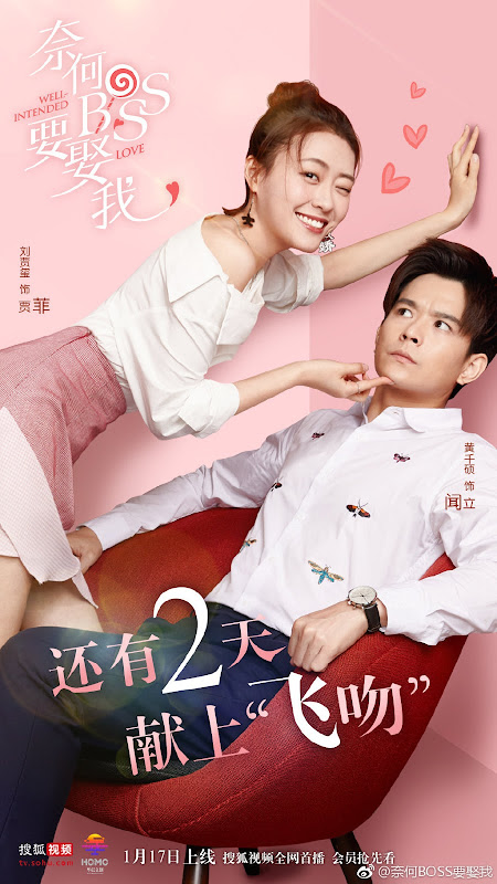 Well Intended Love China Web Drama