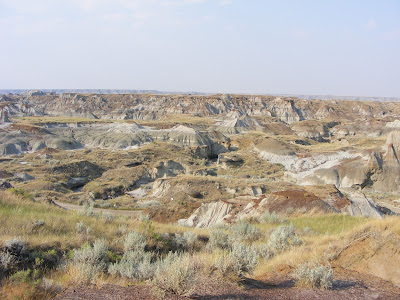 Dinosaur Provincial Park Alberta.