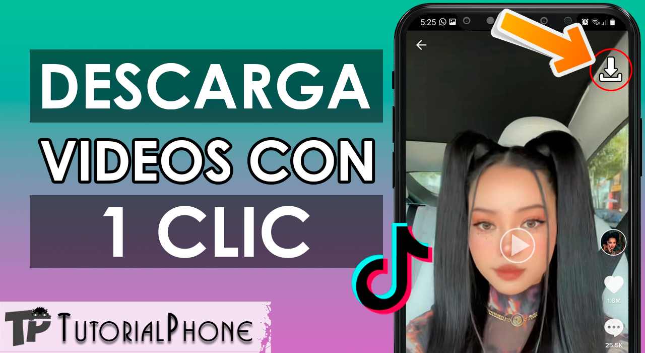 como descargar fácil videos de TikTok en mi computador