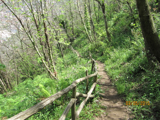 Sentiero Tracciolino (foto 2)