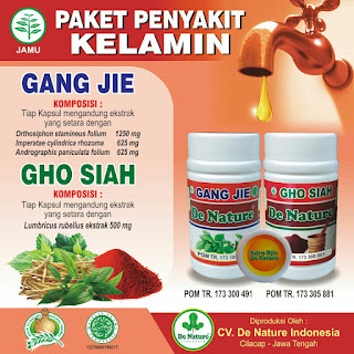 https://mengatasisifilissecaraherbal.blogspot.com/2018/04/memahami-sipilis-sejak-dini-dan.html