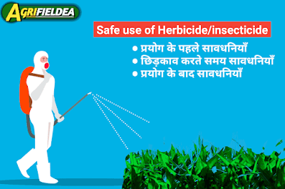 Safe uses of Herbicide and Pesticides Chemicals in Hindi