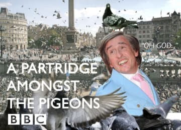 A Partridge Amongst The Pigeons