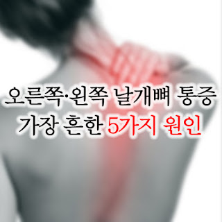 날개뼈 통증 원인