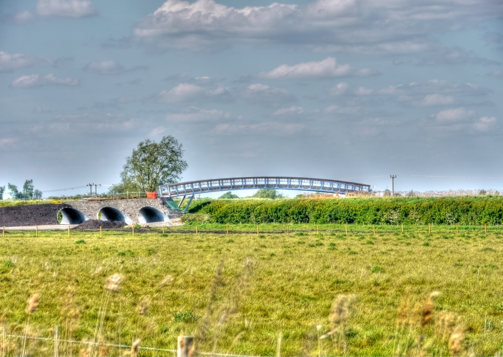 P1110356_4_5_tonemapped.JPG
