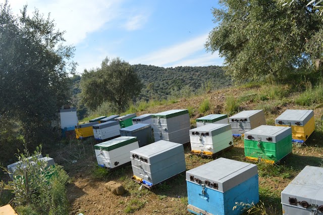 Νέα απο τα μελίσσια μας σήμερα στις 26 Μαρτίου 2017