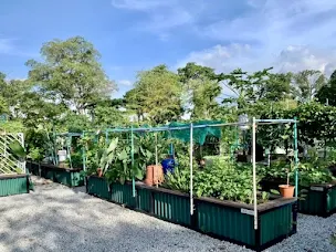 Allotment Garden at Jurong Lake Gardens
