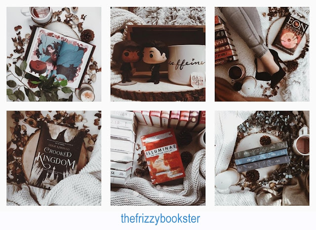 https://www.instagram.com/thefrizzybookster/