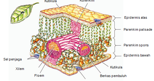 Beranda ~ "SCIENCE EDUCATION"