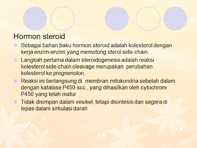 Hormon Steroid