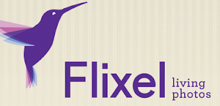 Flixel application