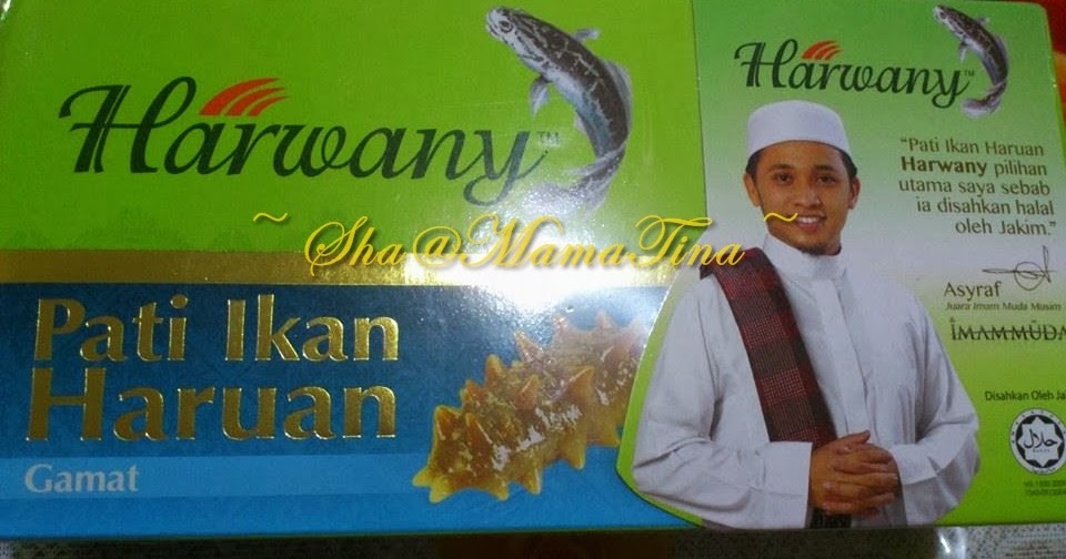 TinaMamaAbah: Pati Ikan Haruan Harwany