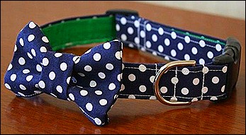 Polka dot collar Polka dot collar