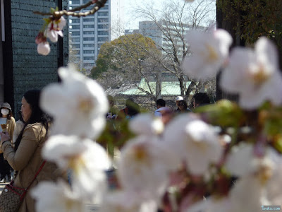 豊國神社