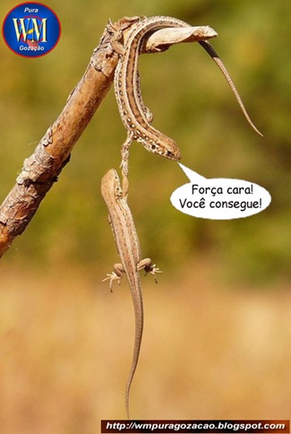 FLAGRANTE - AMIGO É PRA ESSAS COISAS - Força amigão! Você consegue
