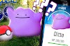 Enter Ditto: Whatever You Want It to Be