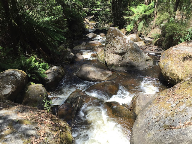 Tooronga Falls, Noojee