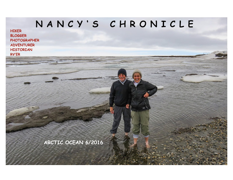 NANCY'S CHRONICLE
