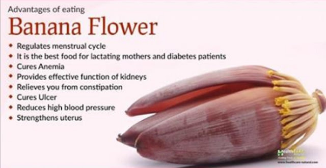 AMAZING HEALTH BENEFITS OF EATING BANANA FLOWER- YOU WILL BE SURPRISED!!!