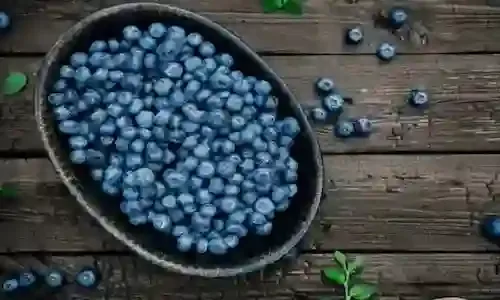 Discover the Power of Blueberries: Boost Your Health and Satisfy Your Taste Buds!