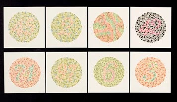 ishihara plates
