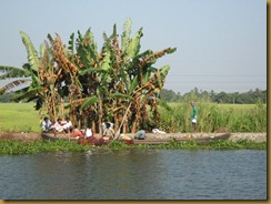 Local Fisherman