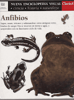  anfibios tapa