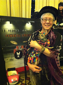 Coco the Cornish Rex cat in NYC Pet Fashion Show