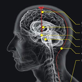 play Game Boost Brain Capability