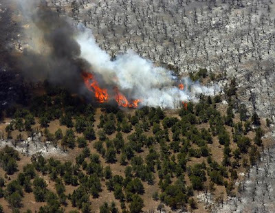 forest fire in USA