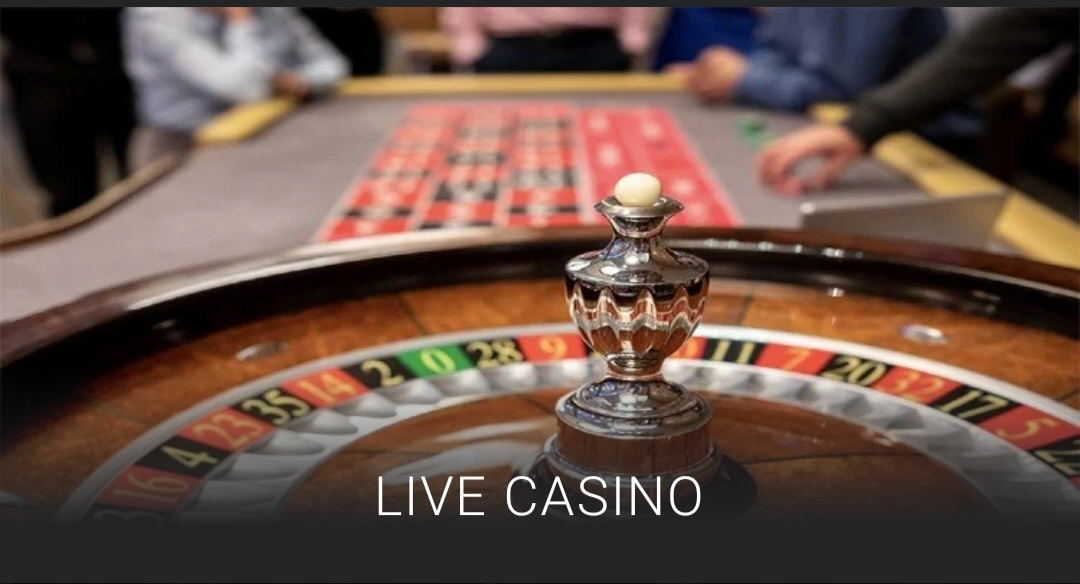 TARUHAN JUDI CASINO ONLINE 