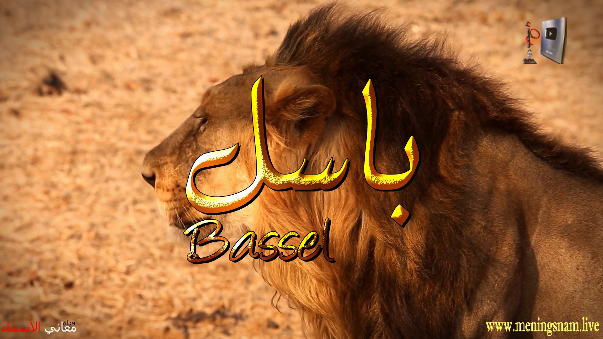 معنى اسم, باسل, وصفات, حامل, هذ الاسم, Bassel,